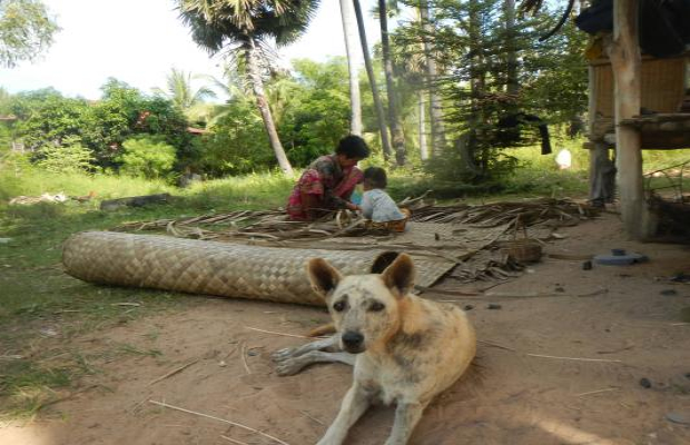 Siem Reap cycling tour